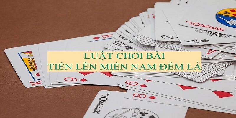 Sự thay đổi trong LTMN đếm lá solo